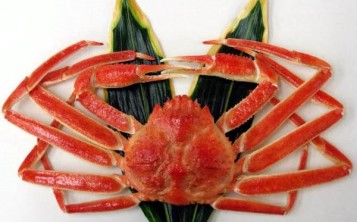Муляжи блюд - Seafood