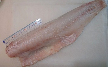 Cod fillet