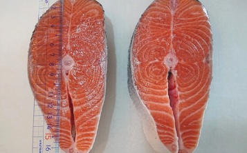 Salmon steak