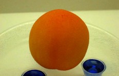 Муляж абрикоса (53/ 55 мм)