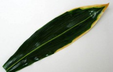 Макет листа полосатого бамбука (38 см)