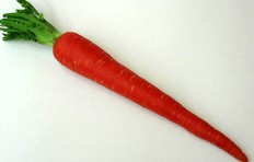 Муляж моркови (50/ 325 мм)