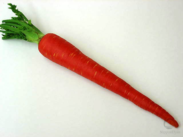 Муляж моркови