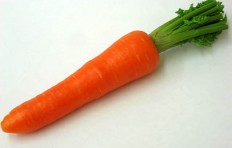 Муляж моркови (50/ 190 мм)
