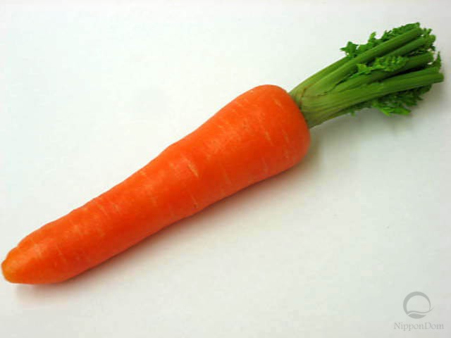 Муляж моркови