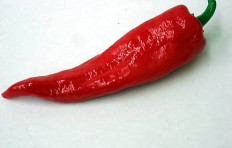 Муляж красного перца чили (35/ 130 мм)