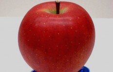 Муляж яблока Фуджи (90-85 мм)