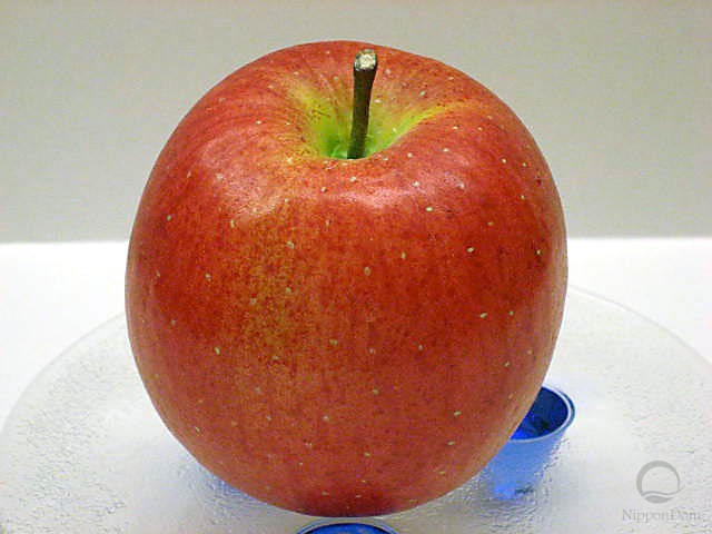 Муляж яблока Фуджи