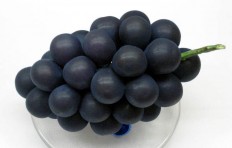 Муляж винограда (165/ 105 мм)