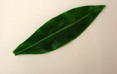 Макет зеленого листа (22 см)