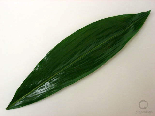 Зеленый лист (40 см)