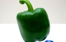 Муляж зеленого перца (80/ 75 мм)