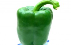 Муляж зеленого перца (90/ 78 мм)