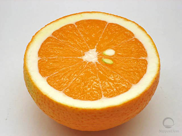 Муляж половинки апельсина