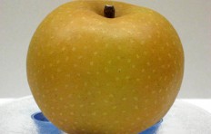 Муляж груши-яблока (83/ 69 мм)