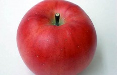 Муляж красного яблока (110/ 95 мм)