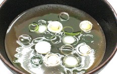 Муляж «суп из водорослей»