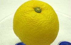 Муляж лимона (60/ 50 мм)
