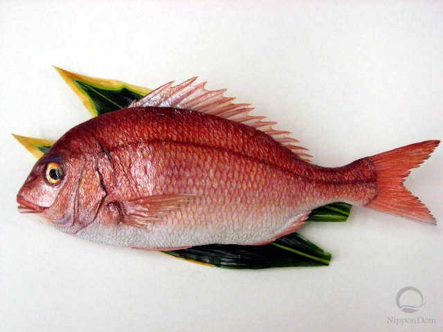 Snapper (38 cm)